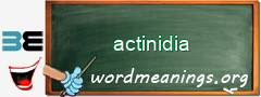 WordMeaning blackboard for actinidia